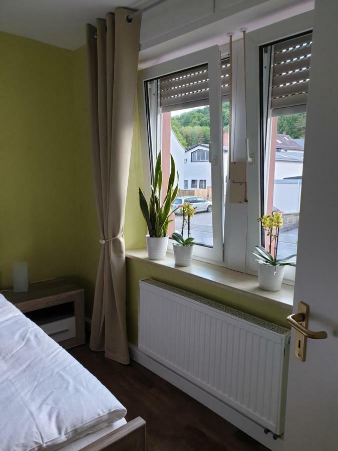 Ferienwohnung Steiner 洪堡 外观 照片